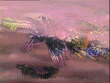 Alien Fleet